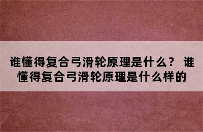 谁懂得复合弓滑轮原理是什么？ 谁懂得复合弓滑轮原理是什么样的